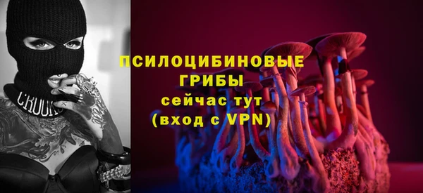 дурь Саяногорск