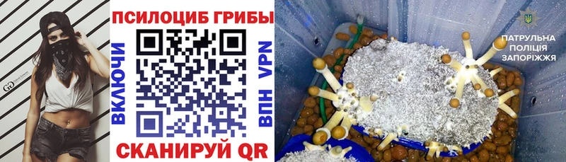 гидра ссылка  Арск  Галлюциногенные грибы Cubensis 